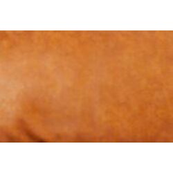 Fabric Swatch Leather Darian Tabacco 10x10cm