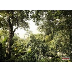 Wallpaper Komar Dschungel 350x250
