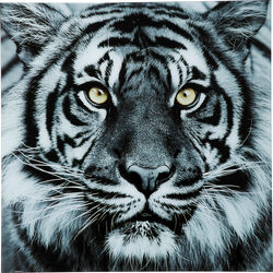 Picture Glass Face Tiger 80x80cm