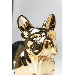 Spardose Bulldog Gold-Schwarz