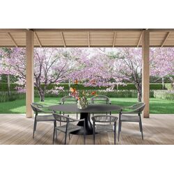 47447 - Gartenset Palma Possibilita 220cm Grau 7/Set
