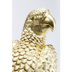 Boîte décorative Parrot 40cm