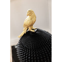 Deco Box Parrot 40cm