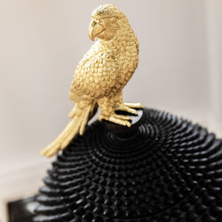 Deco Box Parrot 40cm