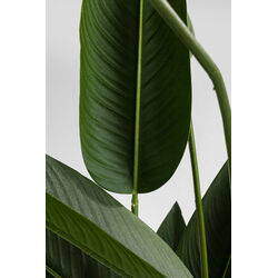 Deco Plant Paradise Flowers 190cm