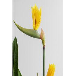 Deco Plant Paradise Flowers 190cm