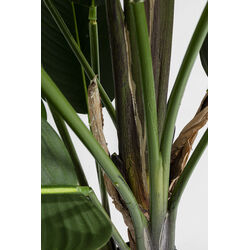 Deco Plant Paradise Flowers 190cm