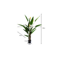 Deko Pflanze Paradise Flowers 190cm