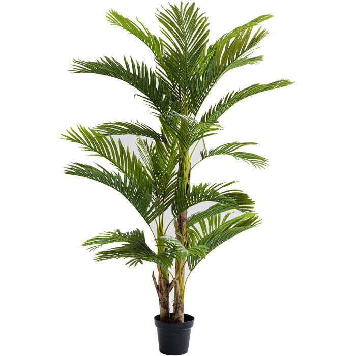 pak vleet Doordeweekse dagen Deco Plant Palm Tree 190cm - KARE USA