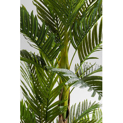 Pianta decorativa Palm Tree 190cm