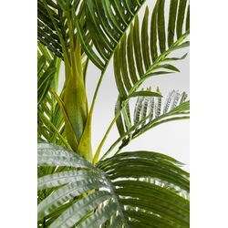 Pianta decorativa Palm Tree 190cm