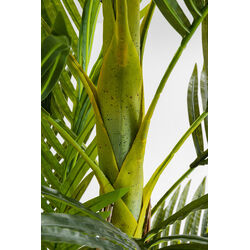 Planta deco Palm Tree 190cm