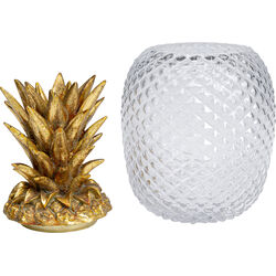 Deco Jar Pineapple Visible