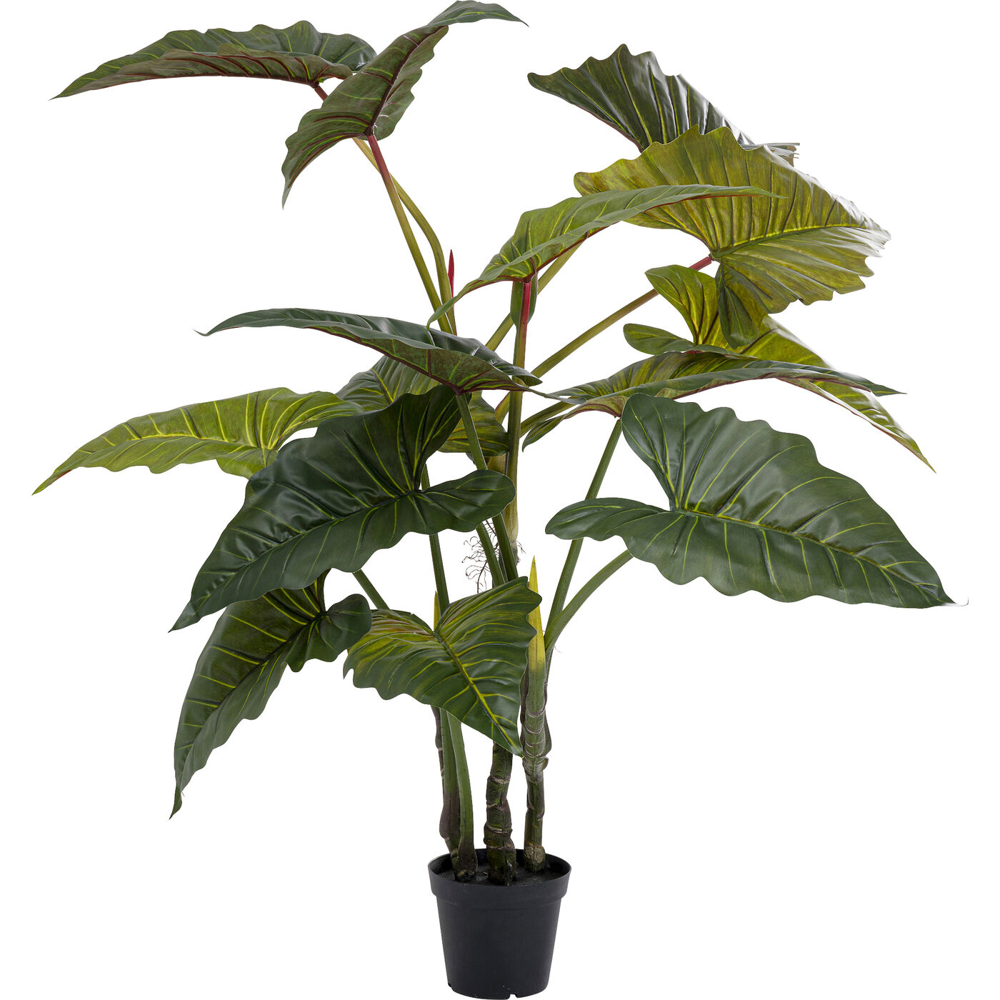 Planta decorativa Taro 180cm