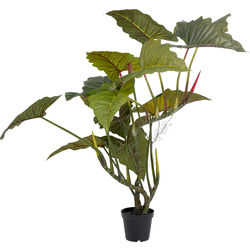 Deco Plant Taro 180