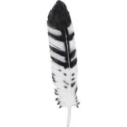 52911 Wall Object Quill 77x18