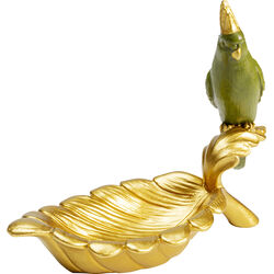 Cuenco deco Parrot Guard 10x21cm