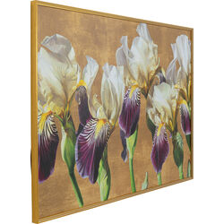 Quadro incorniciato Iris 150x100cm