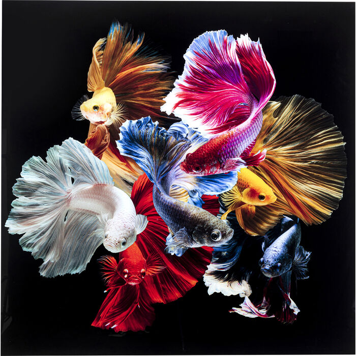 Cuadro cristal Colorful Swarm Fish 120x120cm