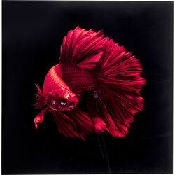 Cuadro cristal Fire Fish 100x100cm