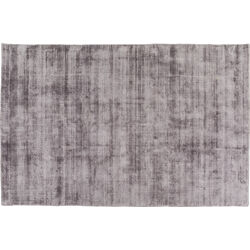 Carpet Seaburry Grey 240x170