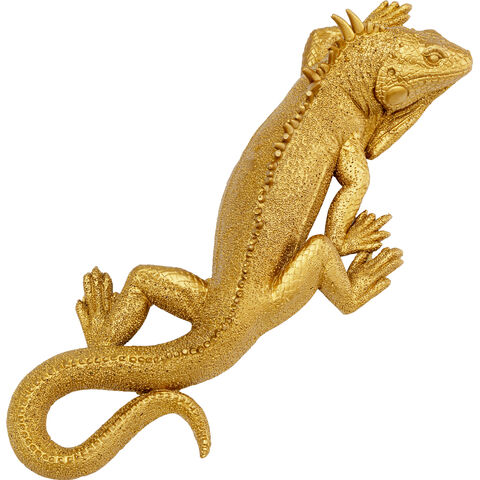 Objeto pared Lizard 31x11cm