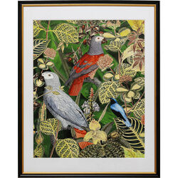 Framed Picture Birds in Jungle 80x100cm