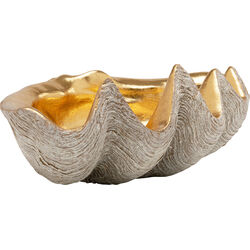 Deco Bowl Noble Shell 41x27cm