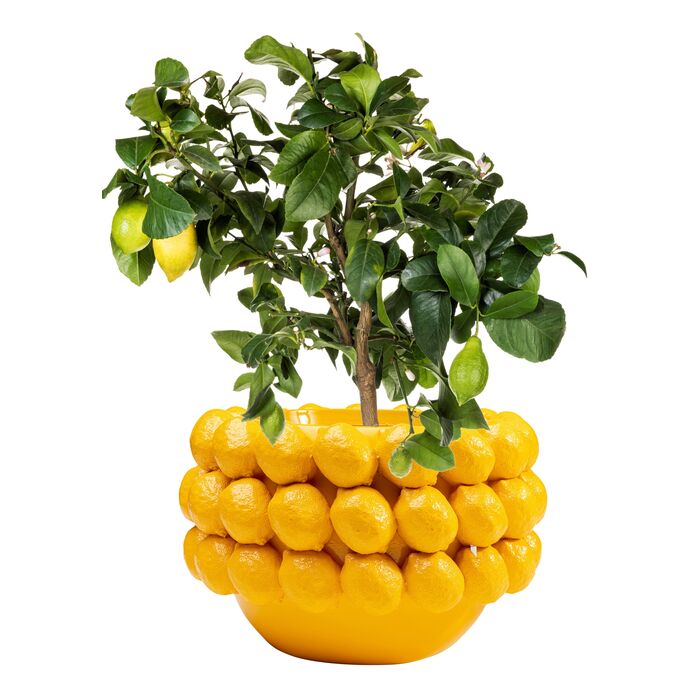 Deco Planter Lemon Juice 22cm