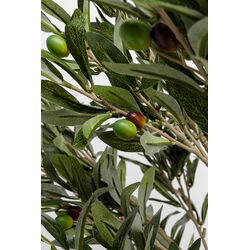 Pianta decorativa Olive Tree 120cm