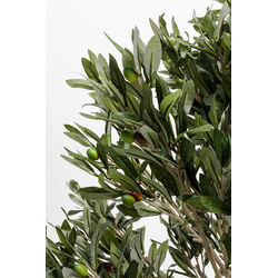 Pianta decorativa Olive Tree 120cm