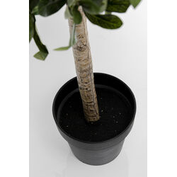 Deco Plant Olive Tree 120cm