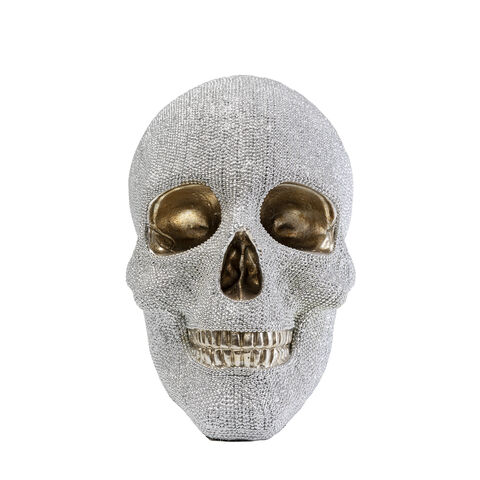 Money Box Skull Crystals