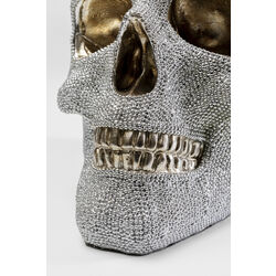 Money Box Skull Crystals