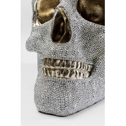 Salvadanaio Skull Crystals