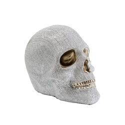 Salvadanaio Skull Crystals