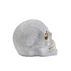 Money Box Skull Crystals