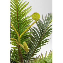 Plante décorative Farn 55cm