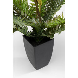 Deco Plant Farn 55cm