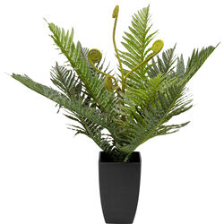 Plante décorative Farn 55cm