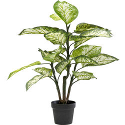 55912 - Plante décorative Dieffenbachie 100cm
