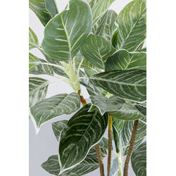 Deko Pflanze Calathea 140cm