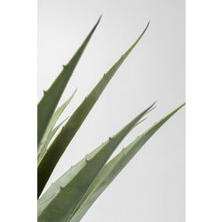 Deko Pflanze Agave 85cm