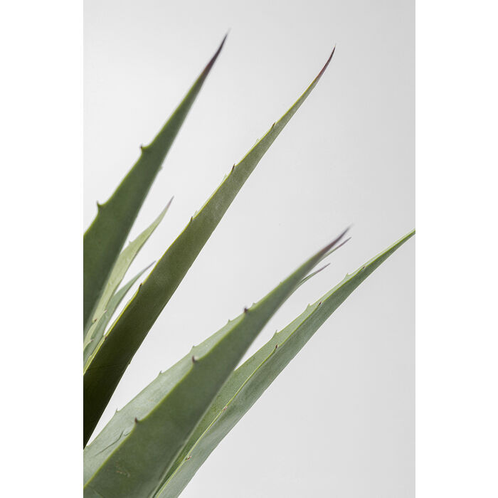 Deko Pflanze Agave 85cm