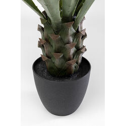 Deko Pflanze Agave 85cm