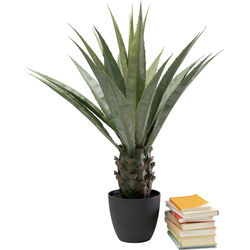 Deko Pflanze Agave 85cm