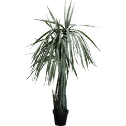 55916 - Plante décorative Dragon Tree 155cm