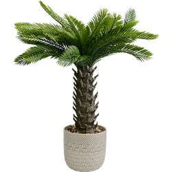 55918 - Plante décorative Cycas 70cm