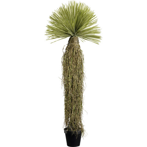 Deco Plant Yucca 170cm