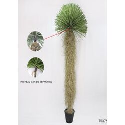 55920 - Pianta decorativa Yucca Rostrata 240cm